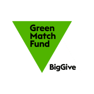 Green match fund BigGive