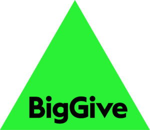 Image shows green triangle with the words 'Big Give' in black inside it